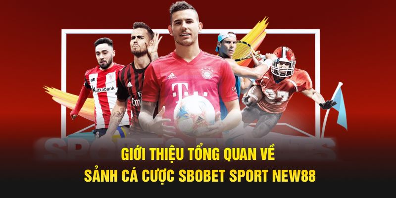 Giới thiệu tổng quan về sảnh cá cược SBOBET Sport New88