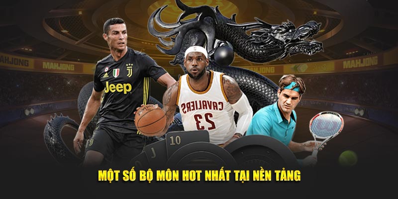 Một số bộ môn hot nhất tại nền tảng