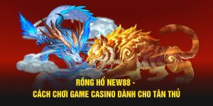 Rồng Hổ New88 - Cách Chơi Game Casino Dành Cho Tân Thủ