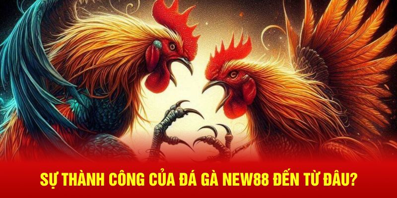 Sự thành công của đá gà New88 đến từ đâu?