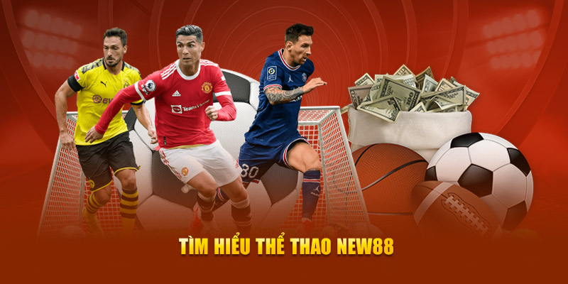 Tìm hiểu về thể thao New88